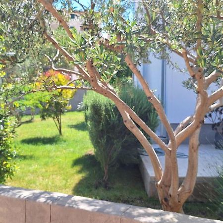 טרוגיר Apartment Katarina מראה חיצוני תמונה