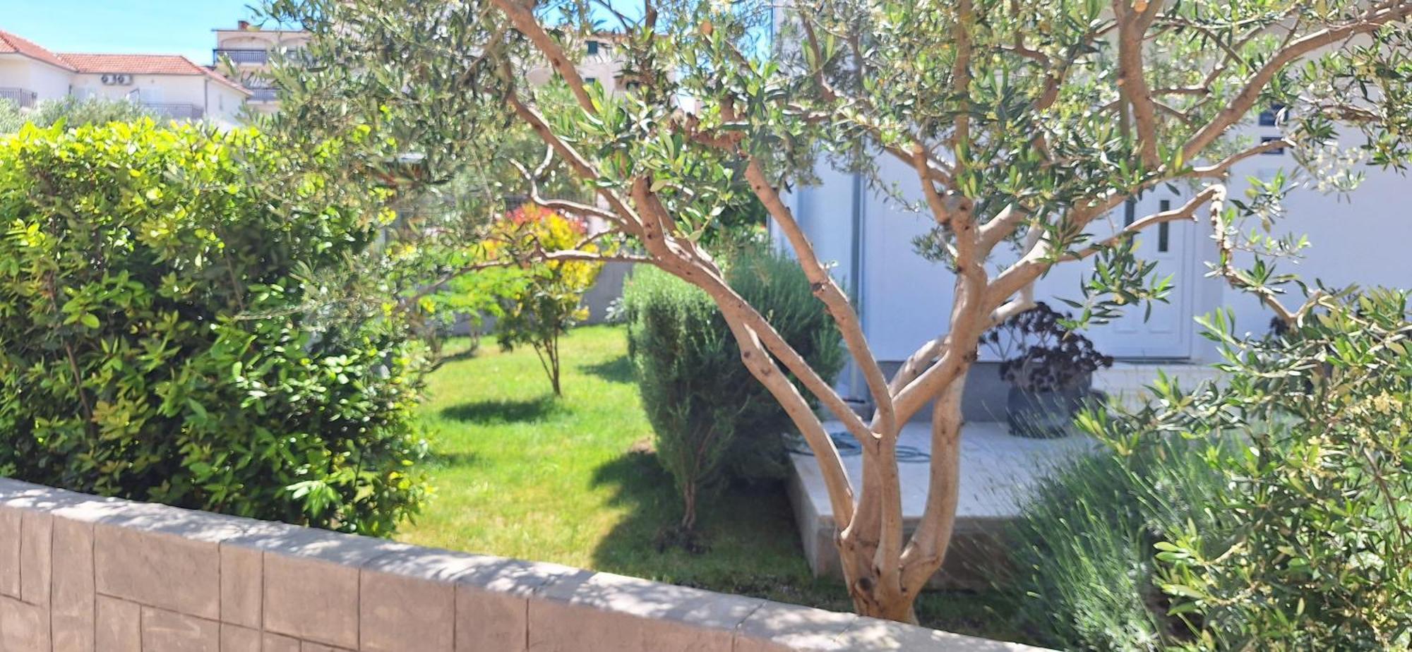 טרוגיר Apartment Katarina מראה חיצוני תמונה